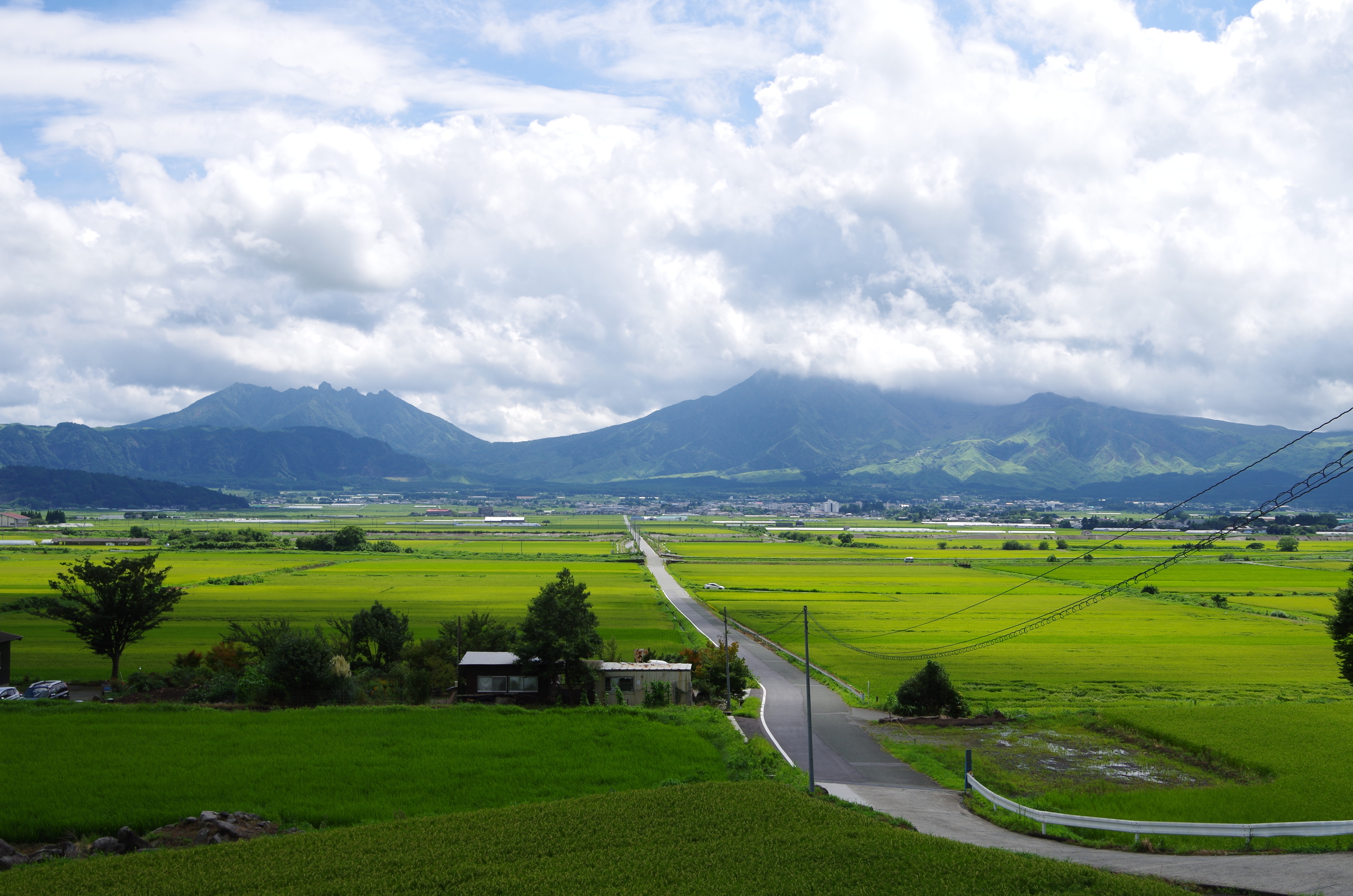九州青果プロジェクト