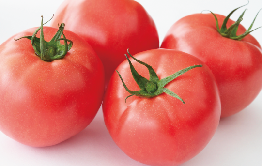 熊本八代のトマト